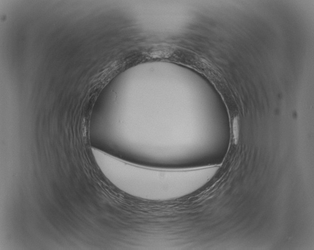 X0000066021443200603031016