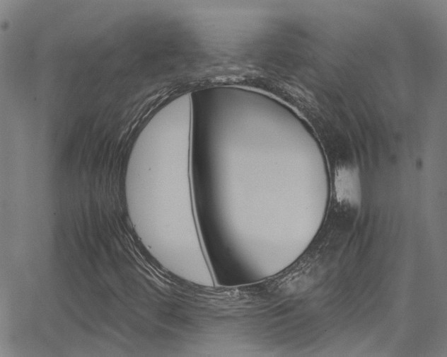 X0000066021444200603031016