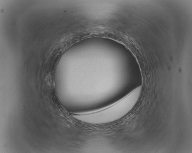 X0000066021445200603031016