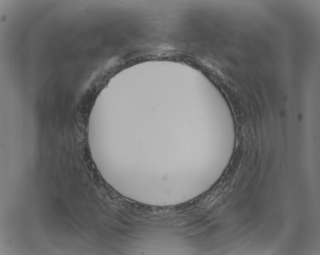 X0000066021447200603031016