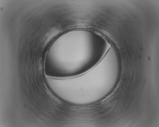 X0000066021450200603031016
