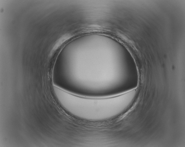 X0000066021453200603031016