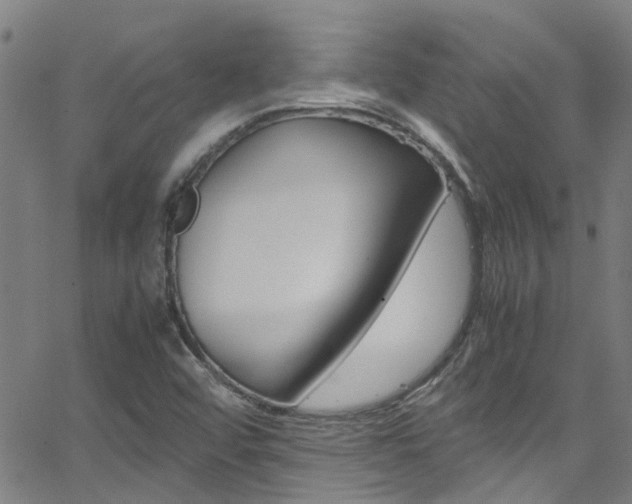 X0000066021456200603031016