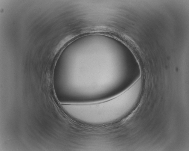 X0000066021457200603031016