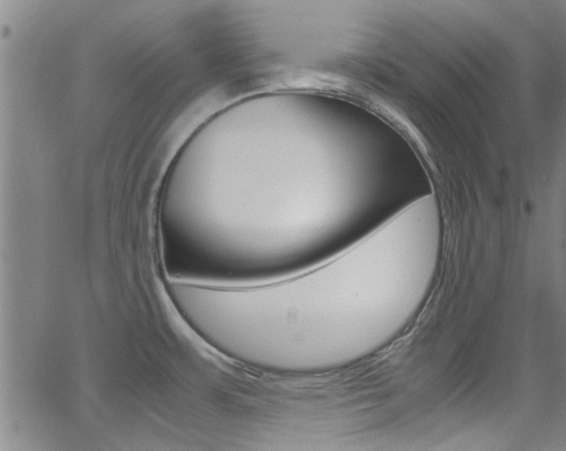 X0000066021483200603031016