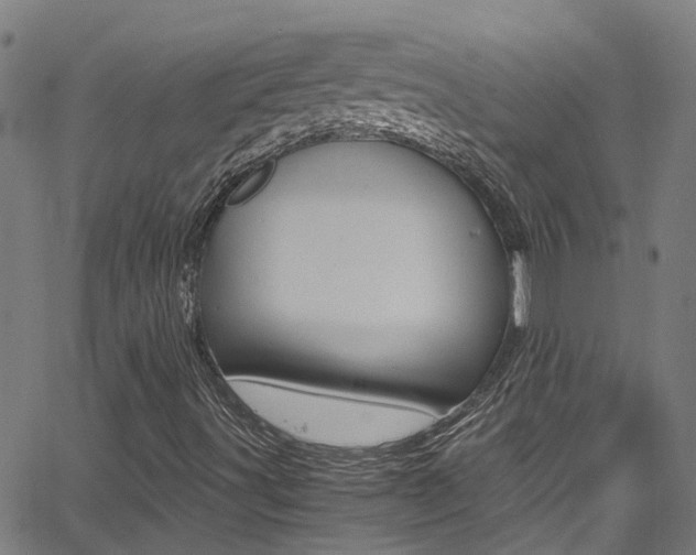 X0000066021491200603031015