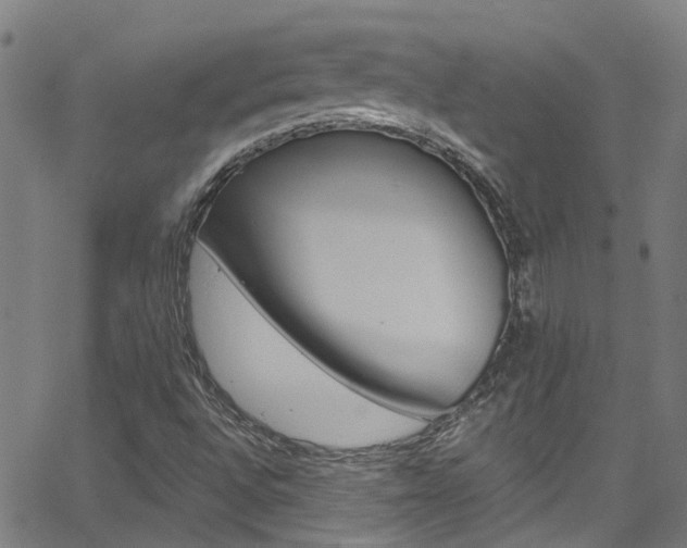 X0000066021496200603031015