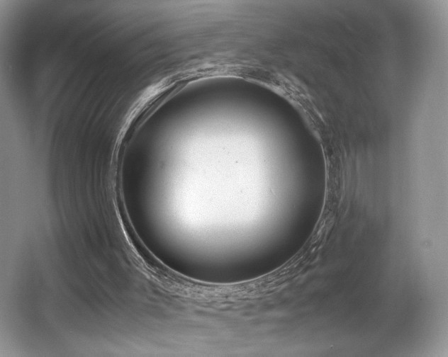 X0000066020003200603031301