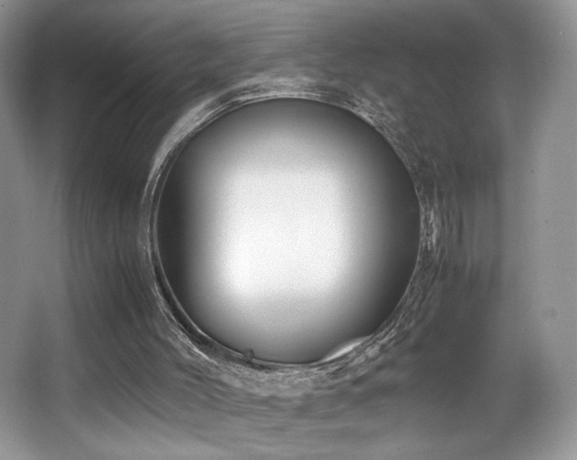X0000066020004200603031301