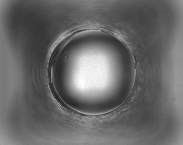 X0000066020007200603031301