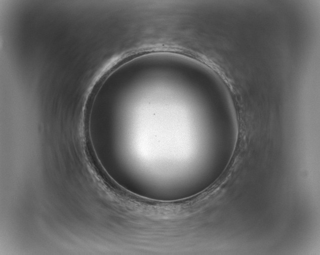 X0000066020008200603031301