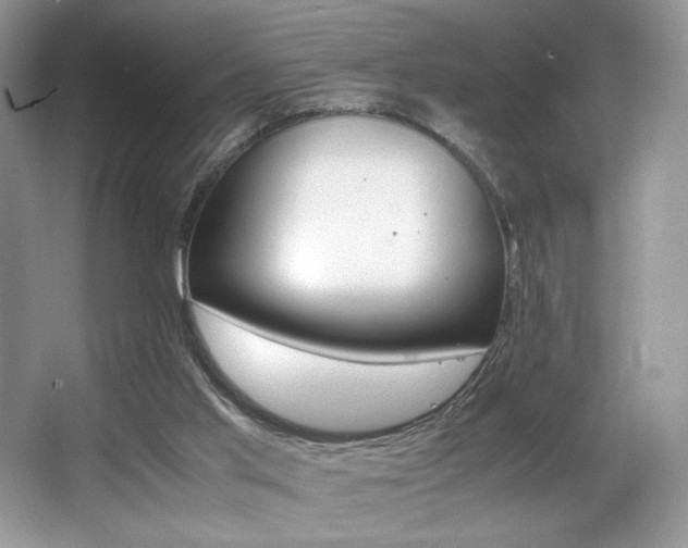X0000066020013200603031301