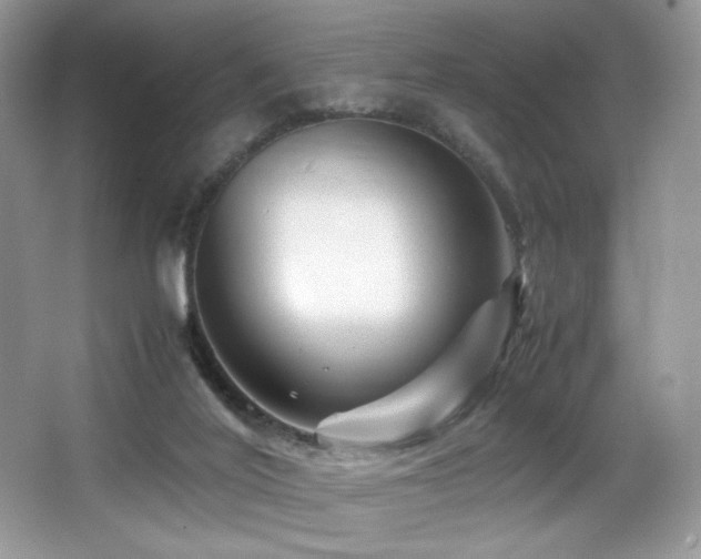 X0000066020020200603031301