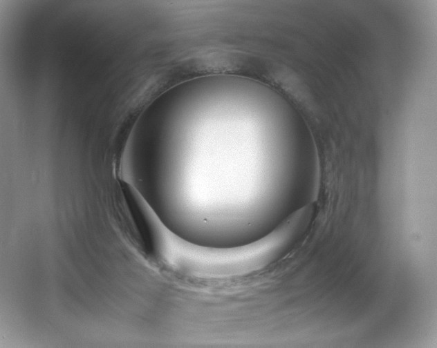 X0000066020021200603031301