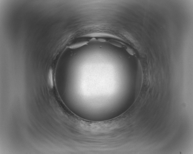 X0000066020022200603031301