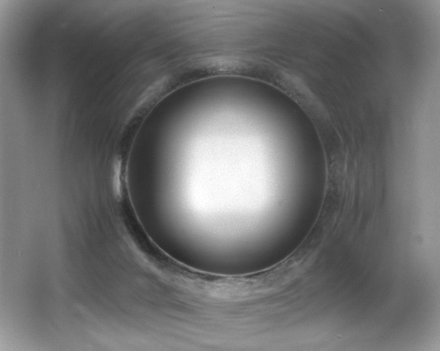 X0000066020024200603031301