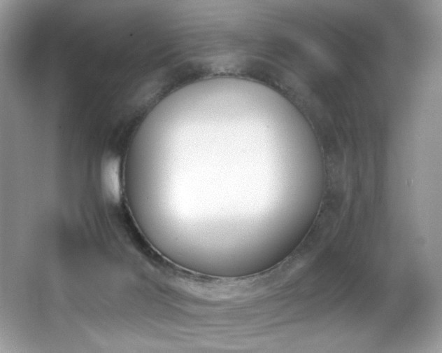 X0000066020028200603031301