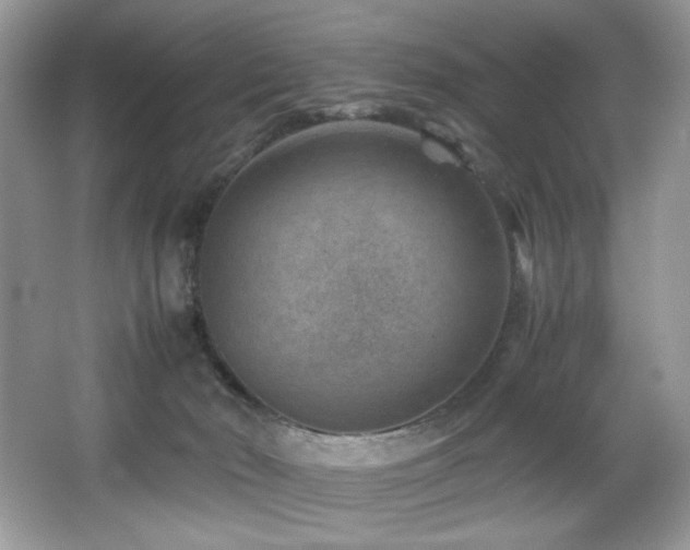 X0000066020030200603031301