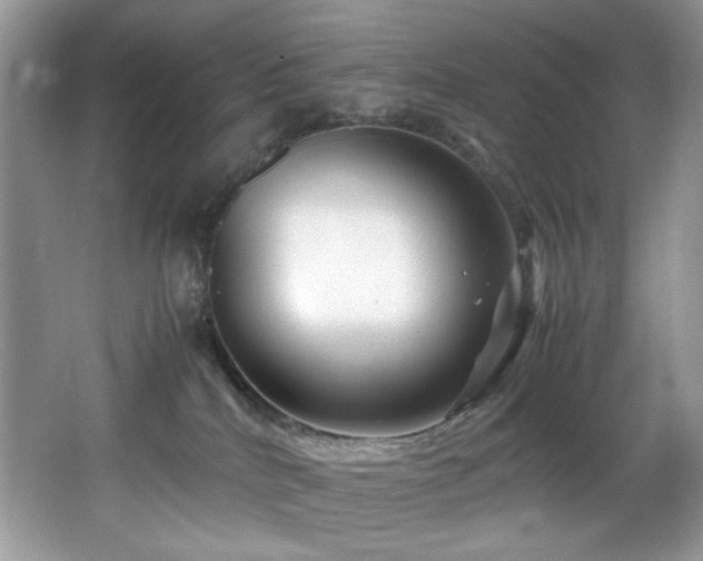 X0000066020040200603031300