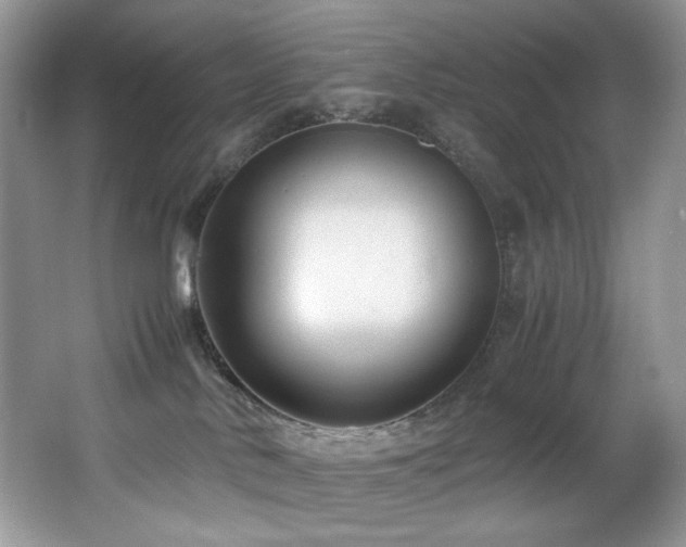 X0000066020042200603031300