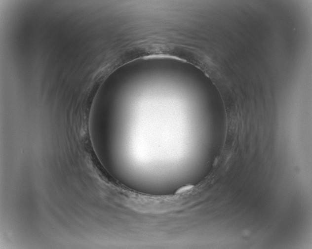 X0000066020043200603031300
