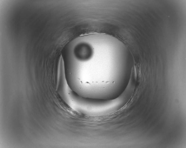 X0000066020045200603031300