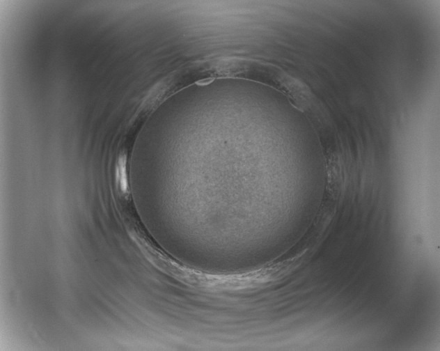 X0000066020046200603031300