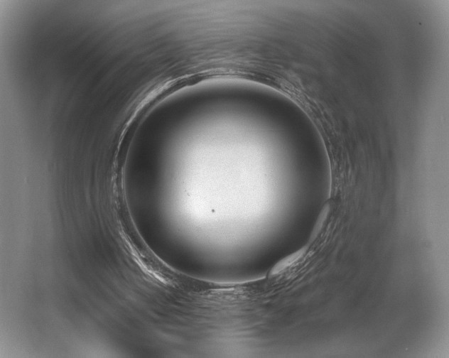 X0000066020050200603031259