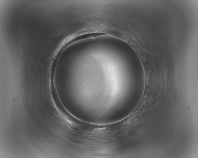 X0000066020054200603031259