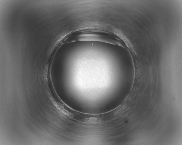 X0000066020058200603031300