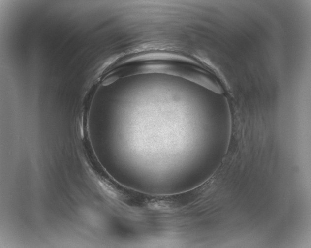 X0000066020062200603031300