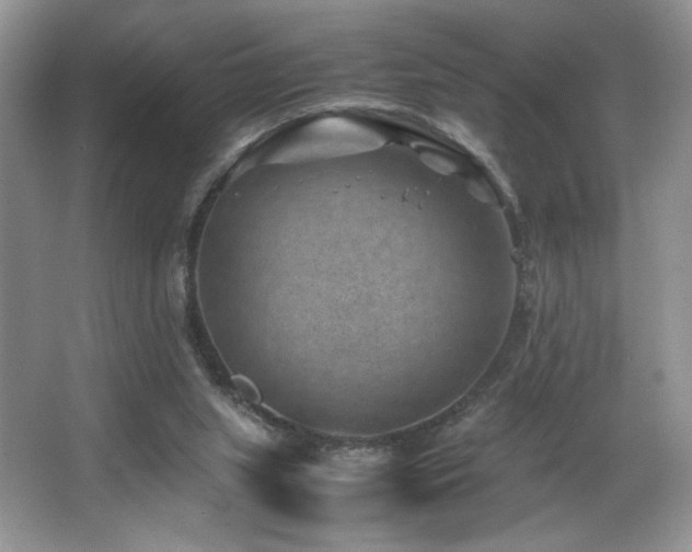 X0000066020063200603031300