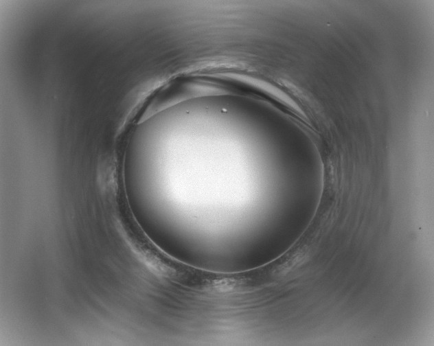 X0000066020064200603031300