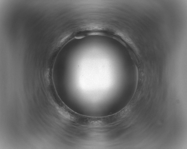 X0000066020066200603031300