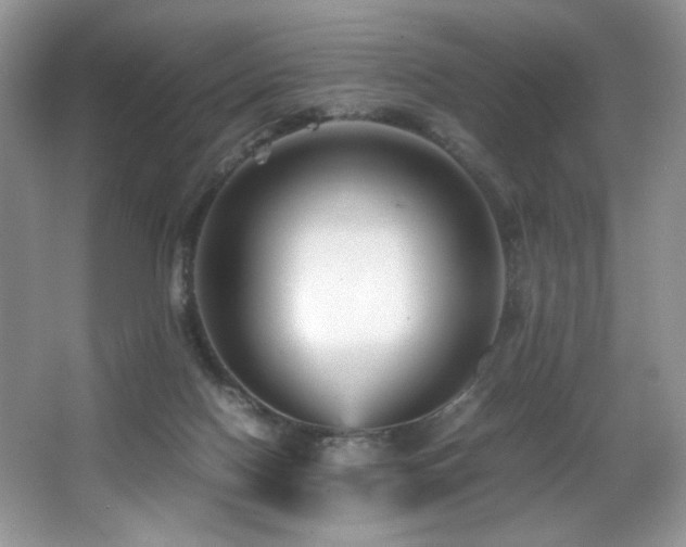 X0000066020074200603031300