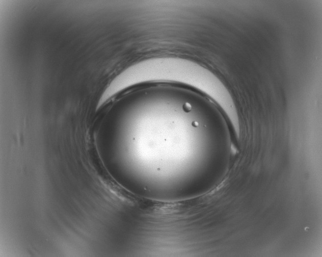 X0000066020078200603031300