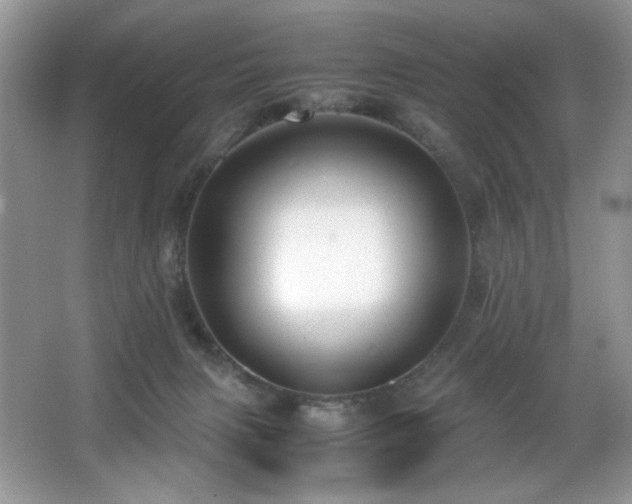 X0000066020079200603031300