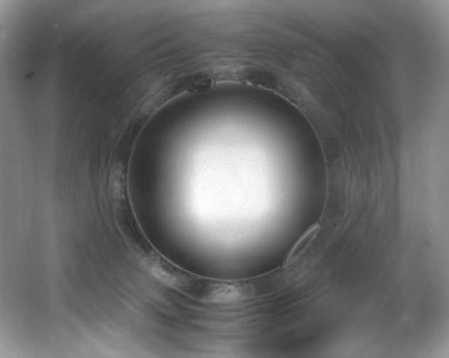 X0000066020083200603031300