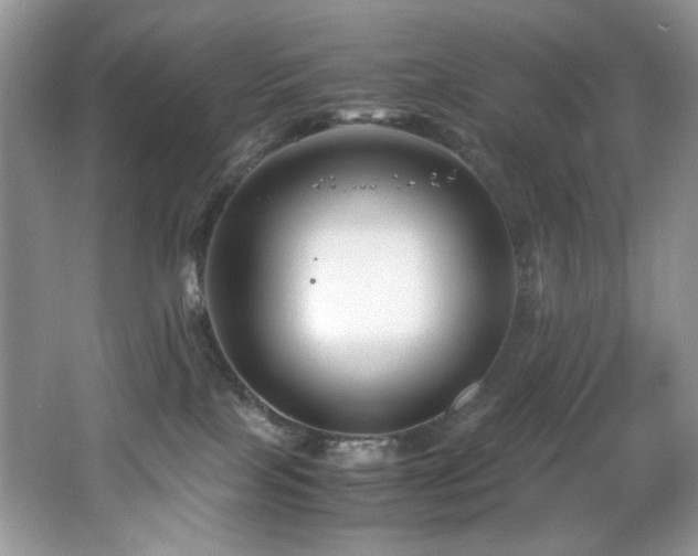 X0000066020089200603031300