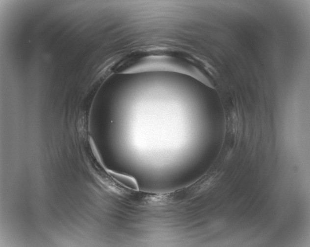 X0000066020092200603031300