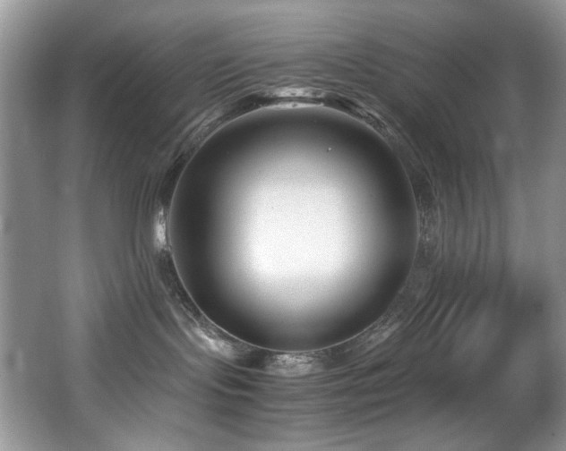 X0000066020095200603031300