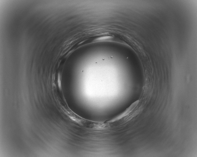 X0000066020096200603031300