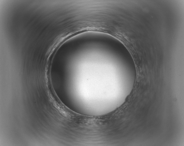 X0000066020098200603031259