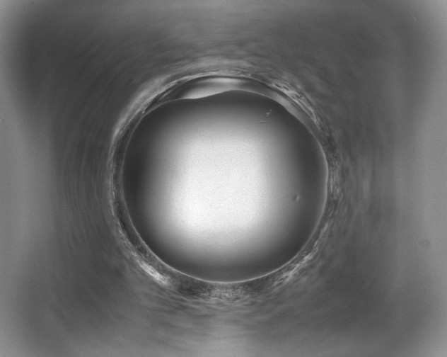 X0000066020101200603031259