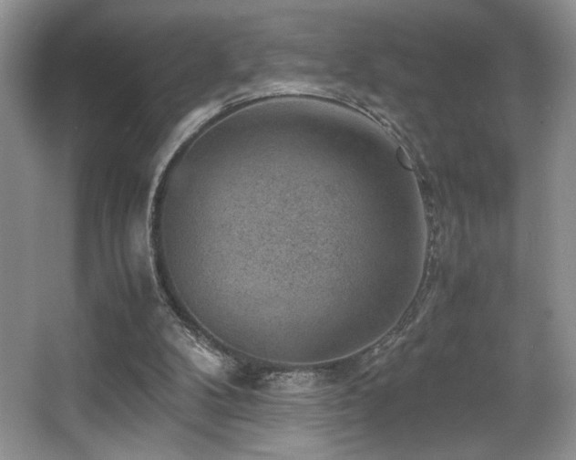 X0000066020104200603031259