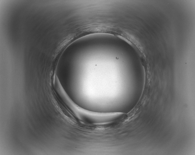 X0000066020105200603031259