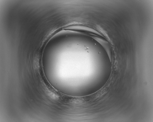 X0000066020106200603031259