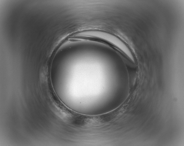 X0000066020107200603031259