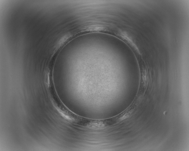 X0000066020110200603031259