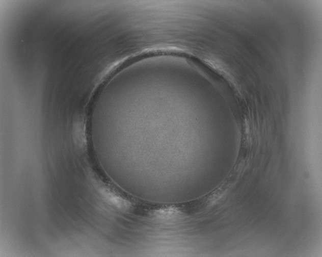 X0000066020112200603031259